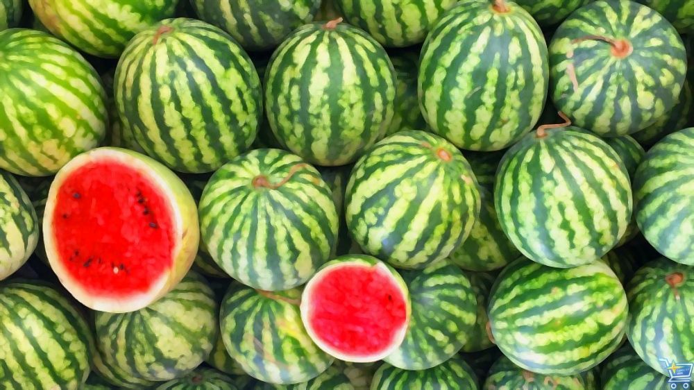 нельзя продавать арбузы и дыни с надрезами или частями
