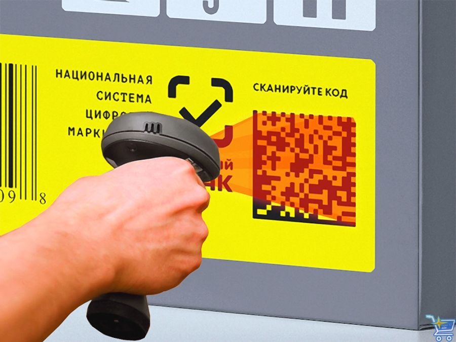сканер.jpg