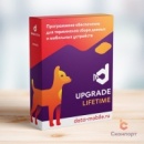 ПО DataMobile, Upgrade 2.9 -> 3.0 Online